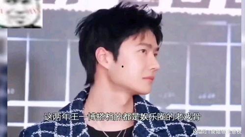 吃瓜娱乐解说,揭秘明星幕后故事，吃瓜群众必备指南